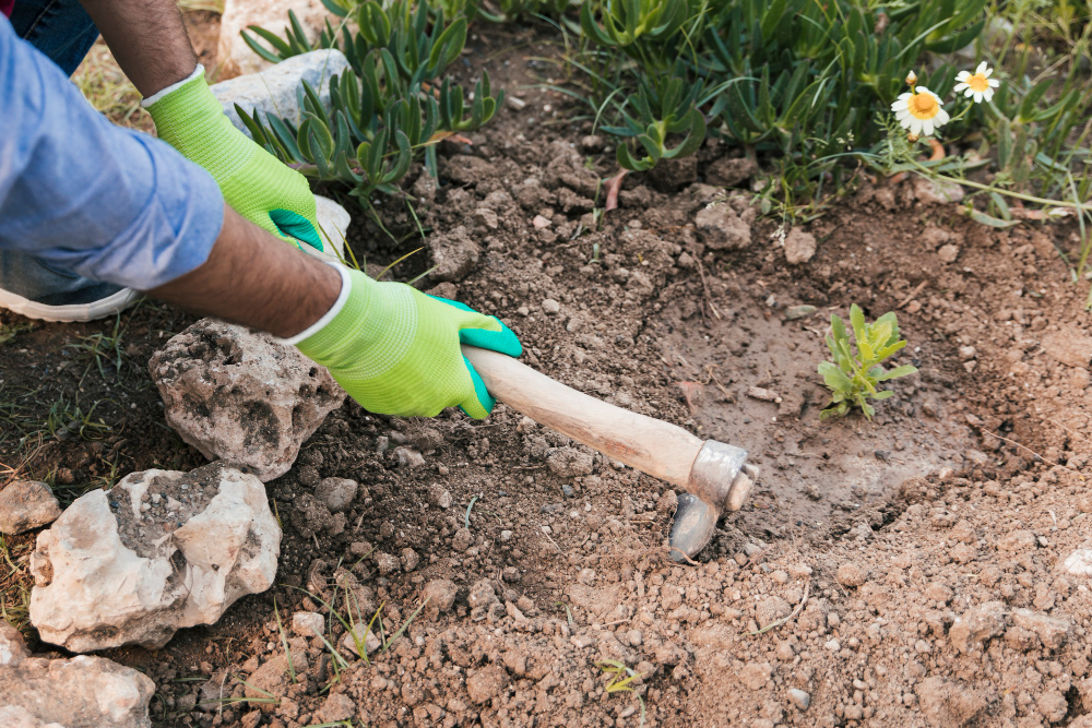 Premier Hydroseeding